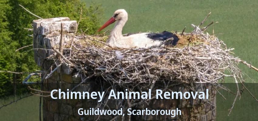 Chimney Animal Removal Guildwood, Scarborough - ON