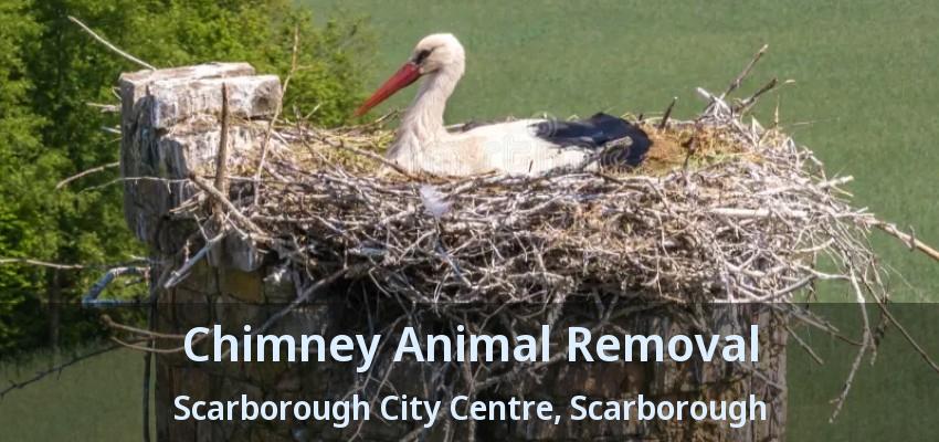 Chimney Animal Removal Scarborough City Centre, Scarborough - ON