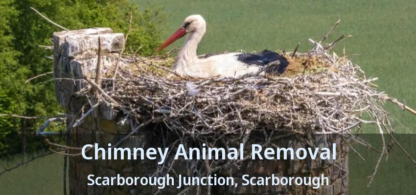 Chimney Animal Removal Scarborough Junction, Scarborough - ON