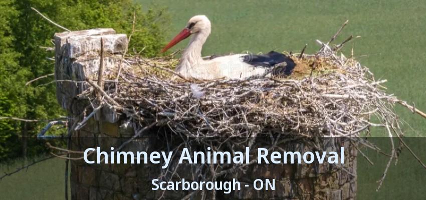 Chimney Animal Removal Scarborough - ON