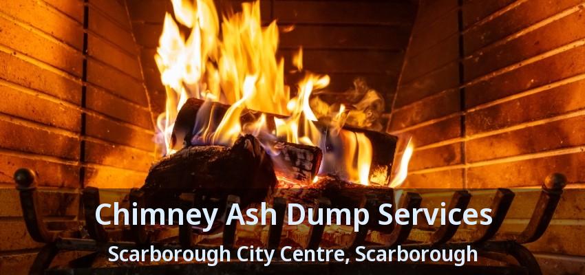 Chimney Ash Dump Services Scarborough City Centre, Scarborough - ON