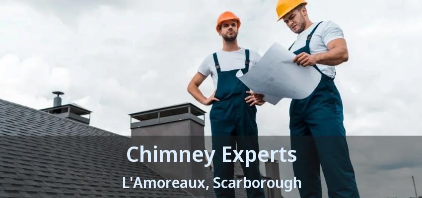 Chimney Experts L'Amoreaux, Scarborough - ON