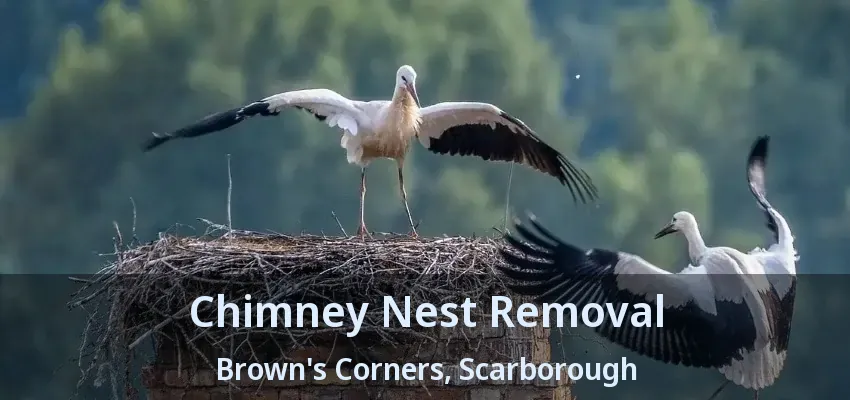 Chimney Nest Removal Brown's Corners, Scarborough - ON