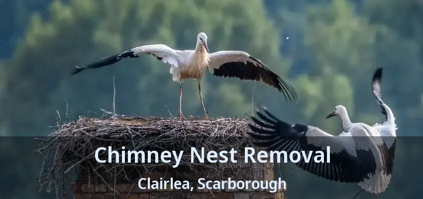 Chimney Nest Removal Clairlea, Scarborough - ON