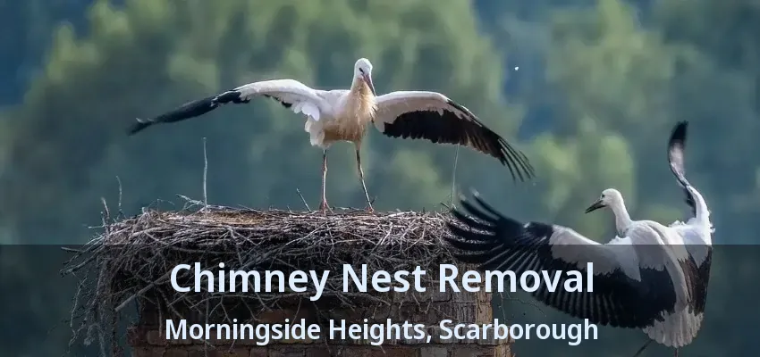 Chimney Nest Removal Morningside Heights, Scarborough - ON