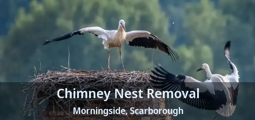 Chimney Nest Removal Morningside, Scarborough - ON