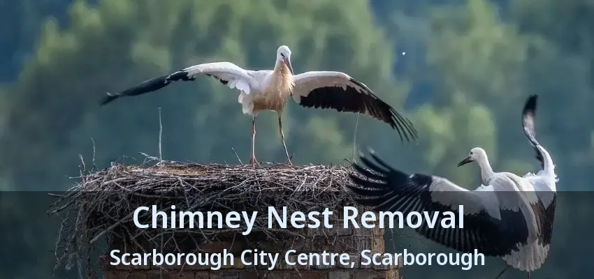Chimney Nest Removal Scarborough City Centre, Scarborough - ON