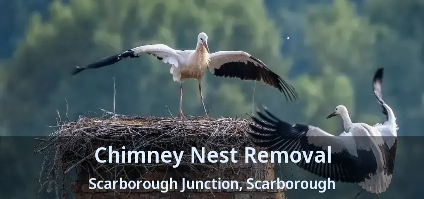 Chimney Nest Removal Scarborough Junction, Scarborough - ON