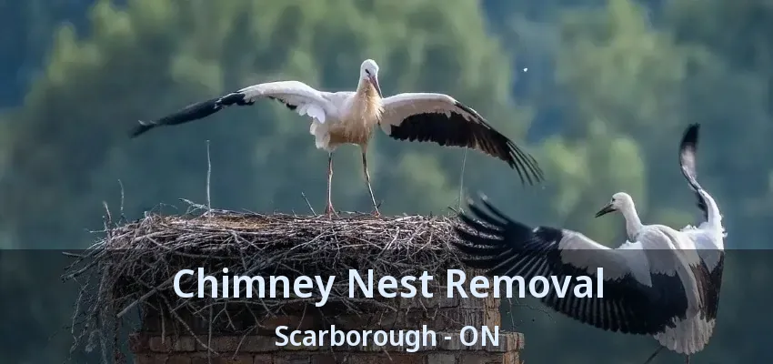 Chimney Nest Removal Scarborough - ON