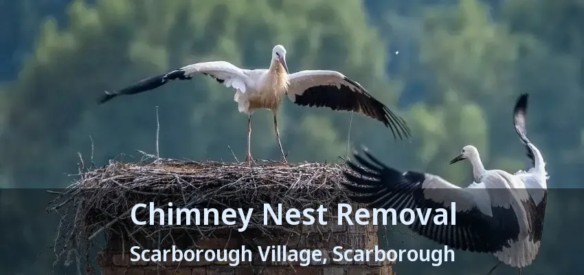 Chimney Nest Removal Scarborough Village, Scarborough - ON