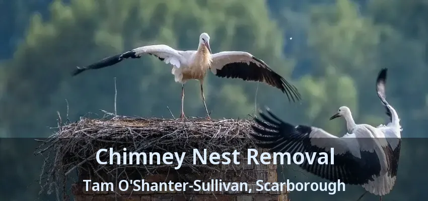 Chimney Nest Removal Tam O'Shanter-Sullivan, Scarborough - ON