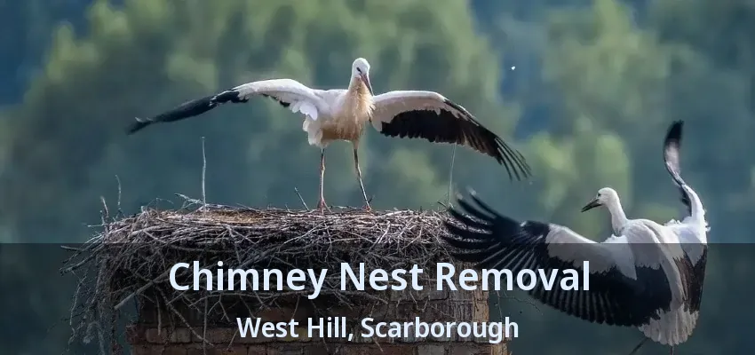 Chimney Nest Removal West Hill, Scarborough - ON