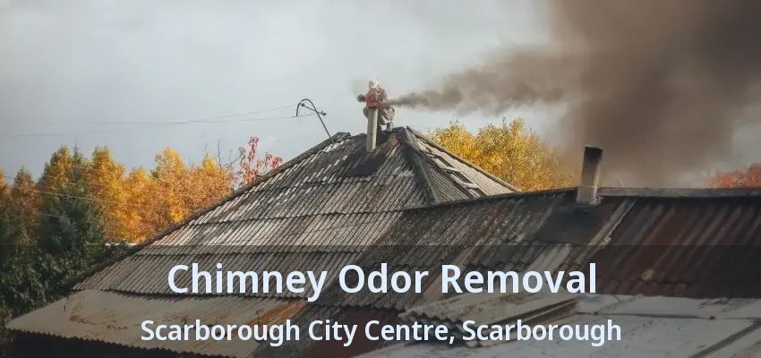 Chimney Odor Removal Scarborough City Centre, Scarborough - ON