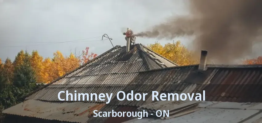 Chimney Odor Removal Scarborough - ON