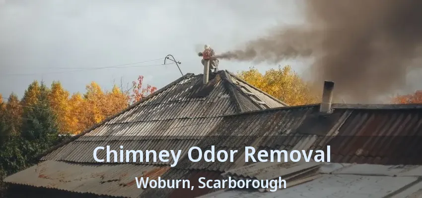 Chimney Odor Removal Woburn, Scarborough - ON
