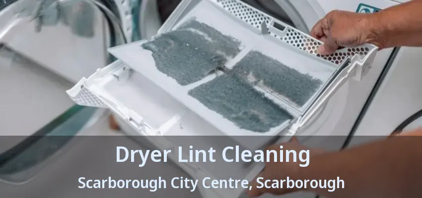 Dryer Lint Cleaning Scarborough City Centre, Scarborough - ON