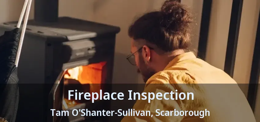 Fireplace Inspection Tam O'Shanter-Sullivan, Scarborough - ON