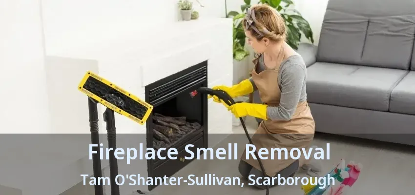 Fireplace Smell Removal Tam O'Shanter-Sullivan, Scarborough - ON