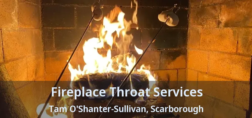 Fireplace Throat Services Tam O'Shanter-Sullivan, Scarborough - ON