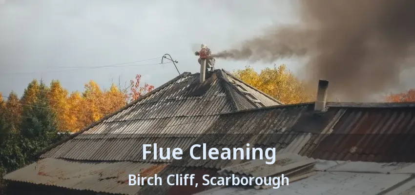 Flue Cleaning Birch Cliff, Scarborough - ON