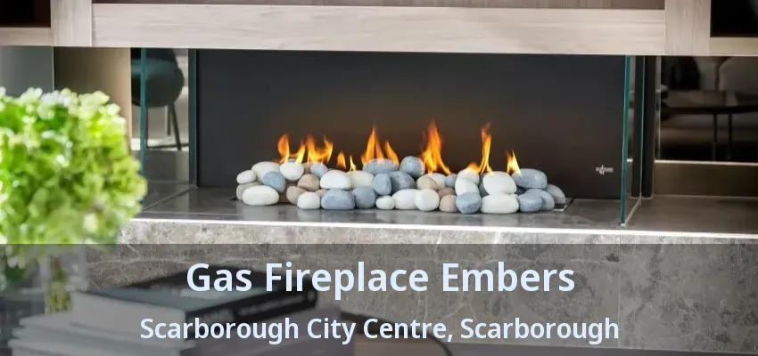 Gas Fireplace Embers Scarborough City Centre, Scarborough - ON