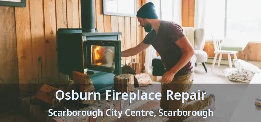 Osburn Fireplace Repair Scarborough City Centre, Scarborough - ON