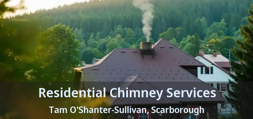 Residential Chimney Services Tam O'Shanter-Sullivan, Scarborough - ON
