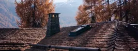 Chimney Animal Removal Guildwood, Scarborough